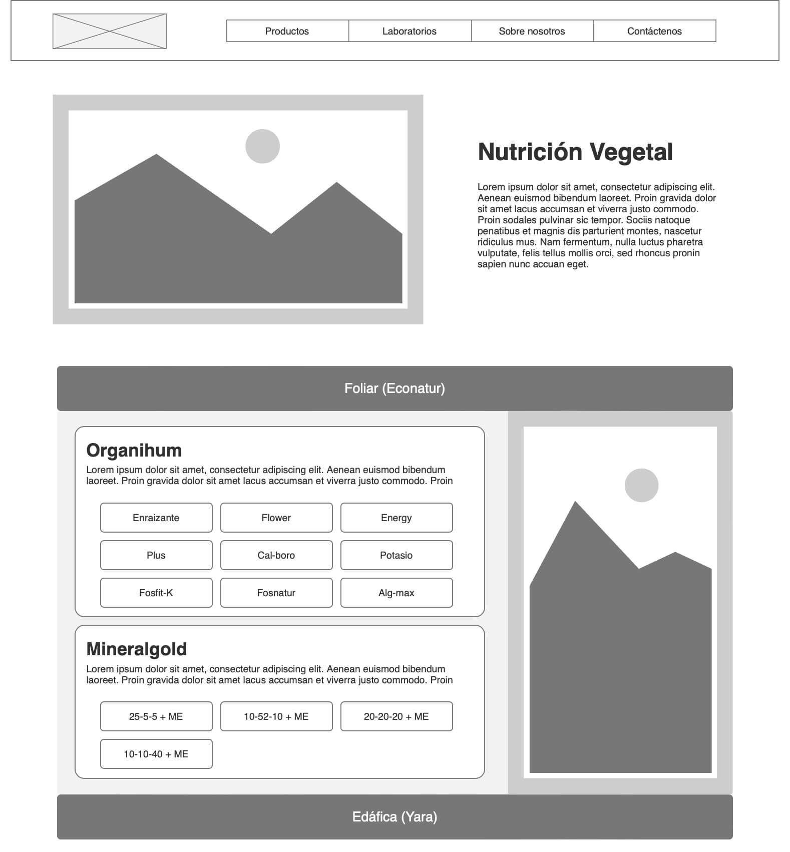 Miramont wireframe